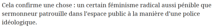 z5b féminisme radical policière