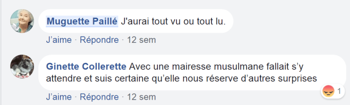 z4a val plante musulmane