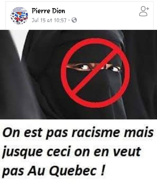 z5aaab pierre dion racisme