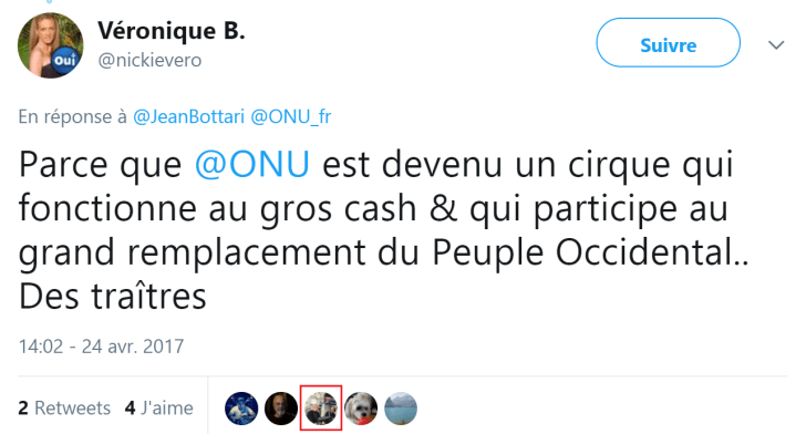 z6 ONU grand remplacement