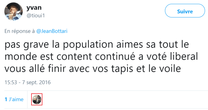 z6d voter libéral voile et tapis