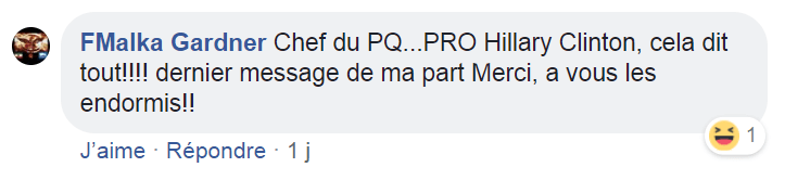 z3 lisée pro clinton